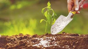 Meaning and Functions of Mineral Nutrition in Plants Meaning and Functions of Mineral Nutrition in Plants