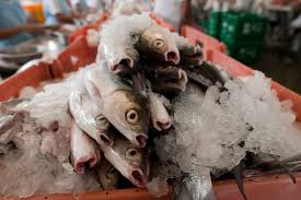 Post Harvest Handling of Fish and Marketing