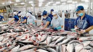 Post Harvest Handling of Fish and Marketing Post Harvest Handling of Fish and Marketing