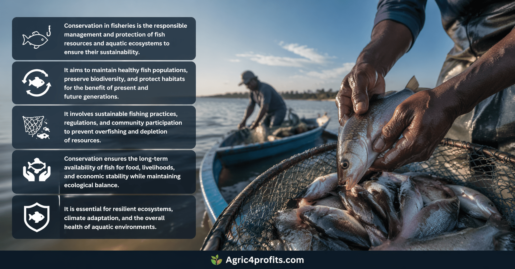 Basic and Practical Objectives of Fish Management and Conservation in ...
