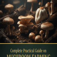 Complete Practical Guide on Mushroom Farming