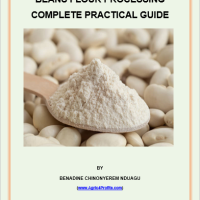 Beans Flour Processing Complete Practical Guide