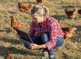 La volaille archivage: les Types, les Utilisations, et Comment Elle Pousse Votre Entreprise Agricole