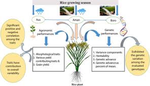 Measurements of Variation in Agricultural Traits