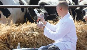 Treatment and General Drug Administration Techniques in Livestock