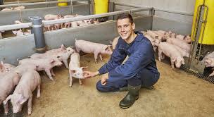 Management Practices in Swine Production Management Practices in Swine Production