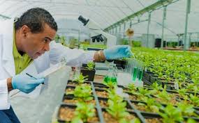 Definition of Agricultural Biotechnology and its Significance Definition of Agricultural Biotechnology and its Significance