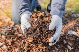 What is Mulching and Importance of Mulching