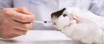 Biological Assays in Animal Production: PER, NPU AND BV Biological Assays in Animal Production: PER, NPU AND BV