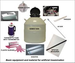 Equipment and Management Practices in Ruminant Production