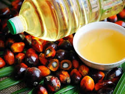 Health Benefits and Uses of Palm Oil