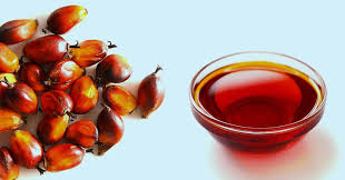 9 Unique Health Benefits and Uses of Palm Oil Health Benefits and Uses of Palm Oil
