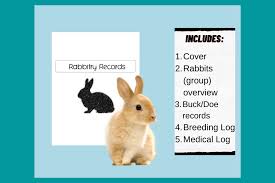 Guide to Proper Record Keeping in Rabbit Husbandry