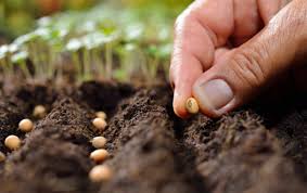 Sowing and Planting Practices for all Crops
