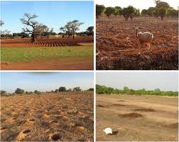 Tropical Land Use and Soil Fertility Relation