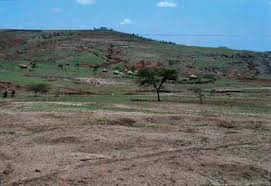 Tropical Land Use and Soil Fertility Relation Tropical Land Use and Soil Fertility Relation