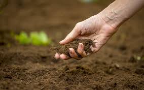 Soil Fertility in the Tropics and Factors Affecting Tropical Soil Fertility