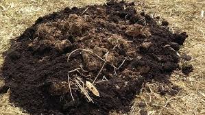 Properties of Soil Organic Matter and Crop Production