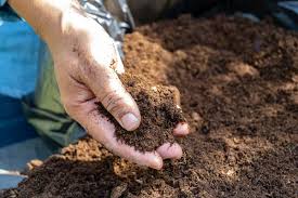 Soil Organic Matter and Sources of Organic Matter