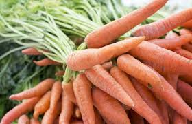 Carrots Farming Guide