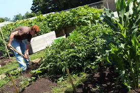 Top Community Colleges with Agriculture Programs in USA
