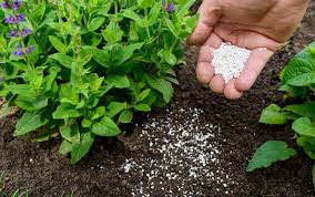 Best Sources of Fertilizers for Plants Best Sources of Fertilizers for Plants