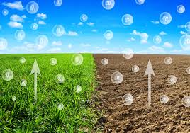 The Concept of Soil Quality and Soil Organic Carbon as an Indicator of Soil Quality