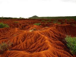 Causes of Loss of Soil Nutrient in Intensive Agriculture and Control Measures Causes of Loss of Soil Nutrient in Intensive Agriculture and Control Measures
