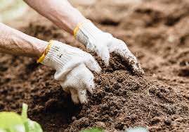 Complete Guide on Maintenance of Soil Nutrient