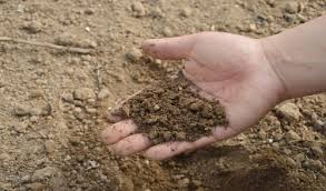 Complete Guide on Maintenance of Soil Nutrient Complete Guide on Maintenance of Soil Nutrient