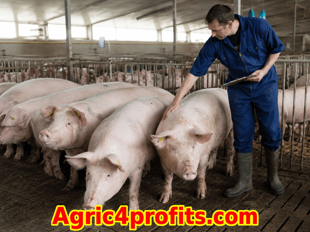 Breeding Methods and Management of Swine