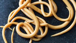 Internal Poultry Diseases and Post Mortem Examination