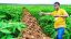 Pursuing an Agricultural Course in Nigeria: What You Need to Know