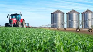 Pursuing an Agricultural Course in Nigeria: What You Need to Know