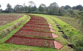 Principles and Methods of Soil and Water Conservation