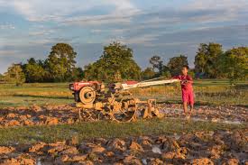 Basic Concepts and the Development of Rural Sociology in Agriculture
