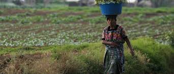Social Stratification in Agricultural Society Social Stratification in Agricultural Society