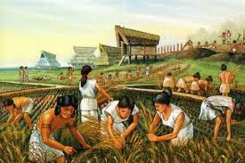 Social Stratification in Agricultural Society Social Stratification in Agricultural Society
