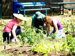 Social Stratification in Agricultural Society Social Stratification in Agricultural Society