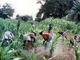 Social Stratification in Agricultural Society Social Stratification in Agricultural Society