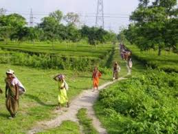 Definition and Meaning of Social Processes in Agriculture