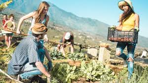 Definition and Meaning of Social Processes in Agriculture Definition and Meaning of Social Processes in Agriculture
