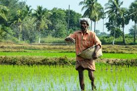 Theories of Social Change in Agricultural Sociology Theories of Social Change in Agricultural Sociology