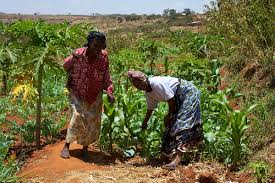 Theories of Social Change in Agricultural Sociology Theories of Social Change in Agricultural Sociology