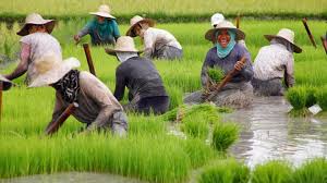 The Concept and Strategies of Rural Development in Agriculture