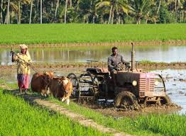 The Concept and Strategies of Rural Development in Agriculture The Concept and Strategies of Rural Development in Agriculture