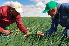 The Concepts of Leader and Leadership in Rural Agricultural Communities