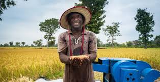 The Concepts of Leader and Leadership in Rural Agricultural Communities The Concepts of Leader and Leadership in Rural Agricultural Communities
