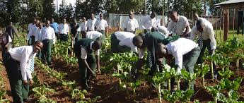 Steps for Organising A Rural Youth Club in Agricultural Communities