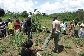 Functions of Rural Leaders and Their Bases of Power and Influence in Agricultural Communities